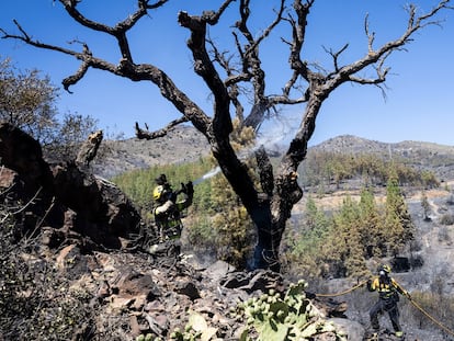 Bomberos participan en las labores de extinción en el incendio de Colera (Girona).