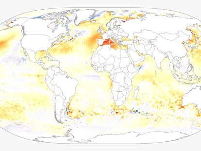 El mar Mediterráneo se tropicaliza