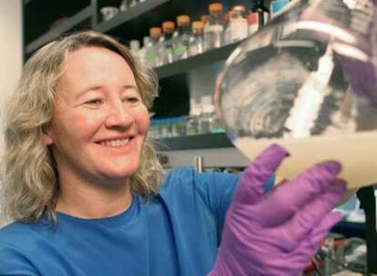 Carol Greider, en su laboratorio en la universidad Johns Hopkins.