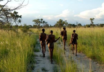 Cuatro bosquimanos, del linaje más antiguo de cazadores-recolectores, antepasados de los humanos modernos.