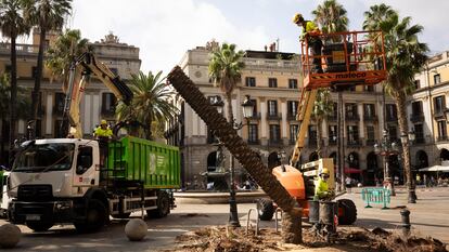 Los operarios del Ayuntamiento de Barcelona talan una palmera en la Plaza Reial.