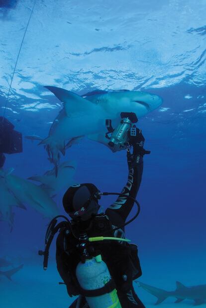 El experto y explorador submarino ha logrado lo más complicado: que los tiburones le permitan penetrar en su hábitat.