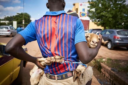 Un hombre transporta un cordero que acaba de comprar en el mercado, en Bamako, Mali, el 20 de agosto de 2018.