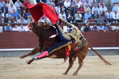 Paco Ureña sufre una cogida por parte del segundo toro de la tarde, en las Ventas.