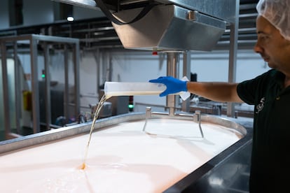 Proceso de cuajado de la leche en Hacienda Zorita.