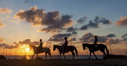 Ruta a caballo en Formentera.