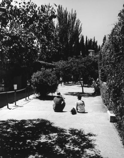 la muestra consiste en la documentación fotográfica de la trama de relaciones y procesos cotidianos que comporta el trabajo de producción de La Alhambra.