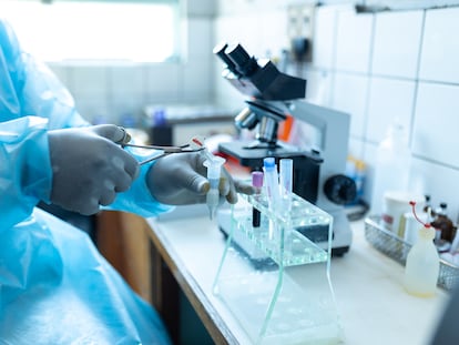 Diagnóstico de la enfermedad del sueño en el laboratorio del hospital del distrito de Nkhotakota, en Malaui.