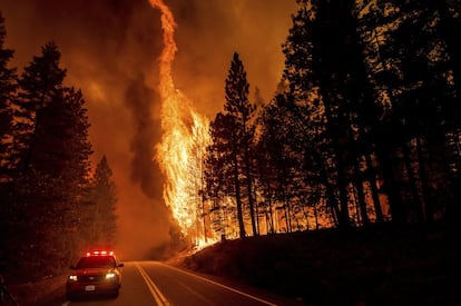 El fuego ardió a ambos lados de la autopista 299 en el bosque nacional Shasta-Trinity el 4 de agosto. Las llamas habían calcinado hasta el jueves un territorio mayor que la ciudad de Los Ángeles, alcanzado un área de más de 1.305 kilómetros cuadrados.