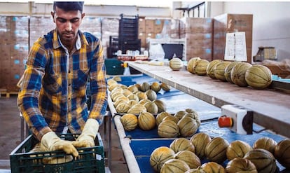 Esta granja cooperativa italiana optimiza el uso de los recursos hídricos con el fin de preservar la estructura del suelo y protegerlo frente a plagas y patógenos. También utilizan técnicas para adaptar la producción agrícola al clima, tales como el manejo de aguas residuales y la plantación de flores para aumentar el número de polinizadores y especies de aves vulnerables.