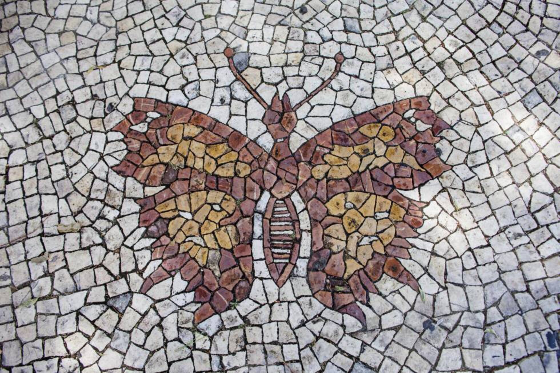 textura de mosaico de tejas rotas Foto de stock 2138305411 | Shutterstock, image size:1960x1308