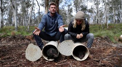 Chris Hemsworth y Elsa Pataky en la suelta de diablos de Tasmania en el continente australiano, el pasado 10 de septiembre.