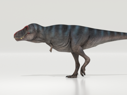 Reconstrucción de un 'Tiranosaurio Rex'.
