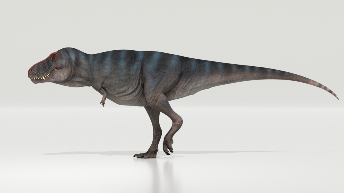 zoologist tyranosaurus rex ズーロジスト Bottle-JD-60ml-Front-