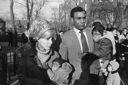 Garry Winogrand: 'Zoo de Central Park', Nueva York,1967.