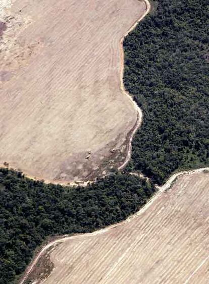 La selva rodea las áreas desforestadas para plantaciones agrícolas en el Estado de Mato Grosso.