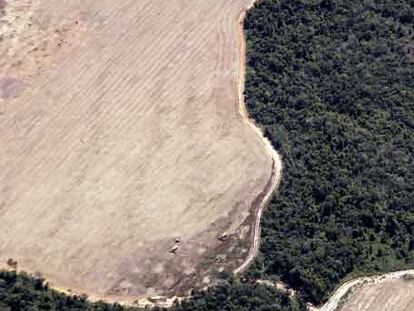 La selva rodea las áreas desforestadas para plantaciones agrícolas en el Estado de Mato Grosso.