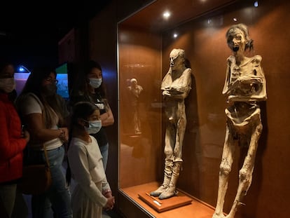 Museo de las momias de Guanajuato