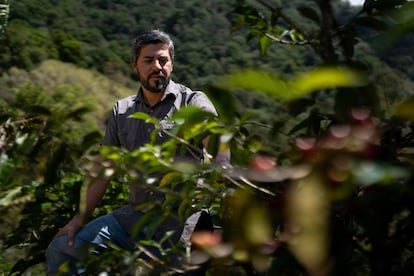 Jonathan Cerdas entre matas de café en la Finca La Bio Fábrica.