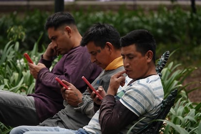 Tres hombres observan su celular sentados en una banca en Ciudad de México, en junio de 2024.