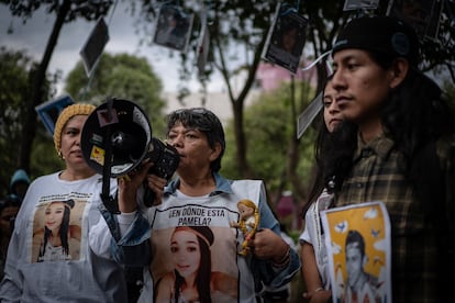 María del Carmen Volante Gallardo, madre buscadora de Pamela Gallardo, manda un mensaje a la Fiscalía General de Justicia, solicitando que respete la instalación de fotografías en el 'árbol de la memoria'.
