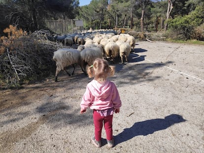 Una menor tutelada por la Comunidad de Madrid en el entorno de La Casa de los NIños, en una imagen cedida por un educador.