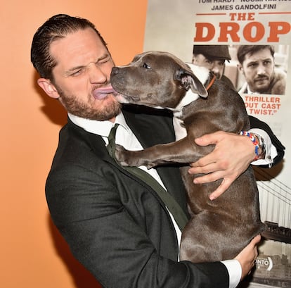 Tom Hardy y la perra Zora en Nueva York en 2014.