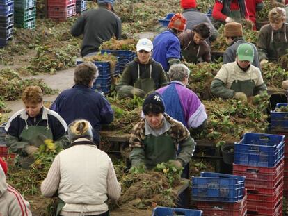 Un trabajo de menos de 1.000 euros no es un empleo