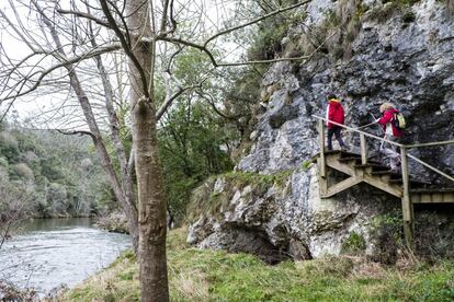 A magnificent expanse of gallery forest runs along the lower end of the Nansa river, in Spain’s northern region of Cantabria. Hazelnut, chestnut, ash and alder add their own special colors to a 14-kilometer trail that begins in the village of Muñorrodero and presents very little difficulty, as steps have been built to clear the steepest spots. The entire trail is contained within the Nansa River Special Conservation Zone, which is part of the EU’s Red Natura 2000. For those unwilling to walk the whole distance, the halfway point is approximately located at the hydroelectricity plant of Trascudia. Animals that are often spotted in the area include grey herons, common kingfishers and otters. A visitor center in San Vicente de la Barquera offers guided tours and activities in the area. For more information: redcantabrarural.com