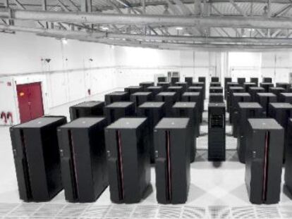 ‘Roadrunner’ muere tras cinco años de vida