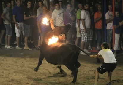 Bous al carrer en Nules (Castellón) el pasado verano.