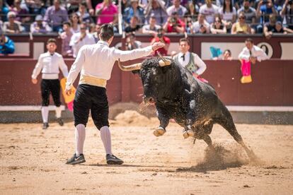 Espectáculo de recortadores en la plaza de Las Ventas.