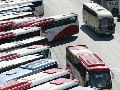 Autobuses de distintas empresas en la Estación Sur de Madrid.