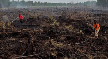 Quemas de tierras en Sumatra para plantaciones de palma. 