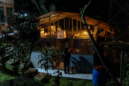 La International Animal Rescue (IAR), una organización protectora de animales de la ciudad de Bogor, está trabajando para restablecer una población sana de estos primates nocturnos. Fathia Rosatika revisa un loris perezoso de Java en una jaula en el Centro de Rehabilitación de la IAR, el pasado 18 de enero.