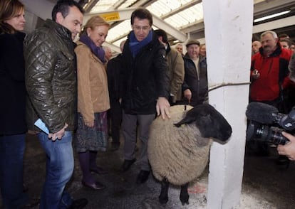 Feijóo hace campaña en Asturias acompañado por la candidata popular Mercedes Fernández.