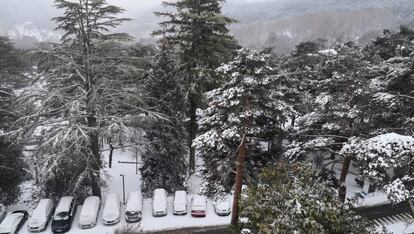 Nevada en Cercedilla el pasado día 15.