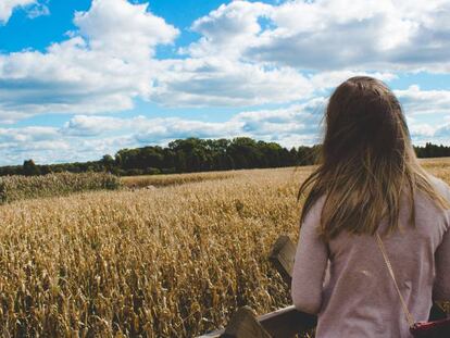 Una mujer contempla un campo de cultivos en Leamington, en Canadá.