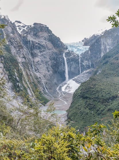 Mirador del parque nacional Queulat.