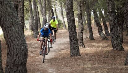 Ciclistas de monta&ntilde;a en el Parque Nacional de la Sierra del Guadarrama, en 2015. 