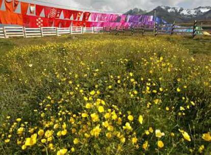 Banderas con el estandarte de los aborígenes del altiplano, en Ushuaia, donde se abre este viernes la Bienal del Fin del Mundo.