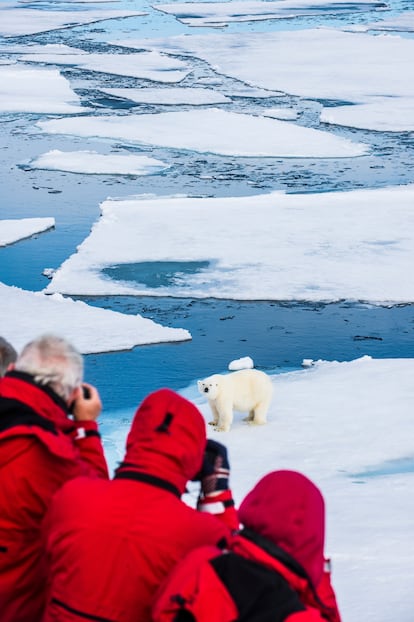 Varios turistas por un crucero en islas Svalbard (Noruega) retratan a un oso polar.