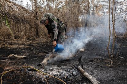 Un agente de policía medioambiental extingue pequeños fuegos para evitar que alimenten los incendios, en Aquidauana (Estado de Matto Grosso).