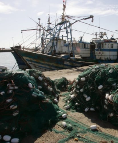Barcos de pesca en el Puerto de Dajla, Sáhara Occidental en una imagen de archivo.