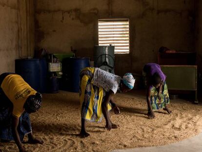 Ser agricultor en tiempos de cambio climático en Burkina Faso