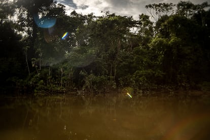 Río Putumayo en Puerto Leguízamo, el 8 de febrero de 2025. 