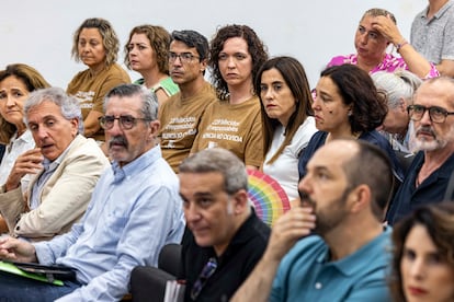 Las portavoces de Associació Víctimes de la DANA 29, Mariló Gradolí, y de la Asociación Damnificados Dana Horta Sud, Elisabeth González, en la segunda fila de izquierda a derecha, respectivamente. en la primera fila, el comisionado del Gobierno, José María Ángel (tercero por la izquierda).