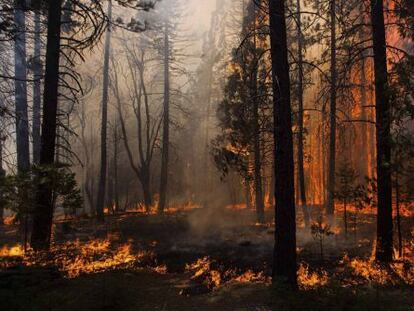 El incendio de Yosemite, este sábado.