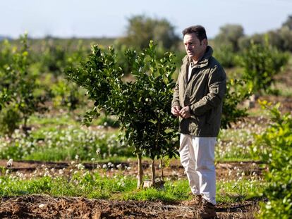 Luis Bolaños, CEO de Iberhanse-Naturgreen, en una plantación de la empresa.