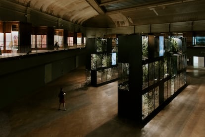 'Grafted Memory System' (2022), de Ugo Schiavi, en el Museo Guimet de Lyon, cerrado desde 2007 y reabierto en ocasión de esta bienal de arte contemporáneo.